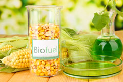 Capstone biofuel availability