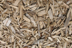 biomass boilers Capstone