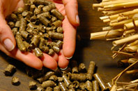 free Capstone biomass boiler quotes